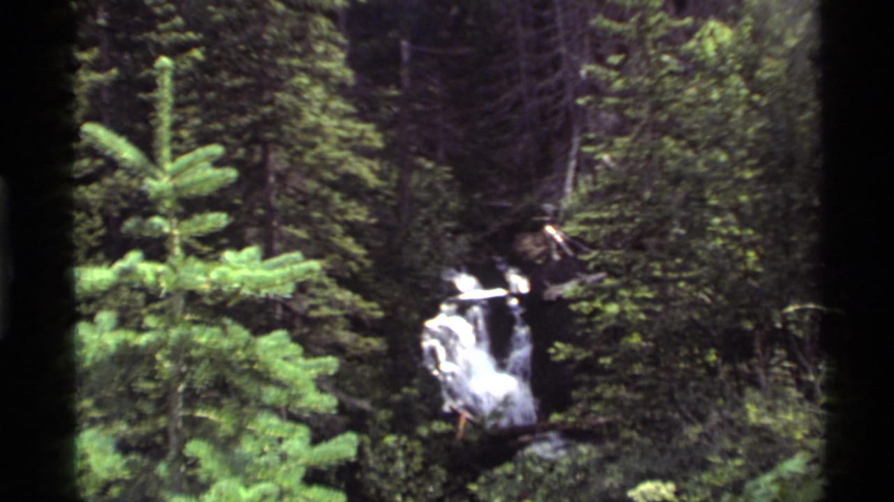 Small waterfall continues through thick Holland Lake forest, with conifer branches and shadowed trees surrounding the cascade.