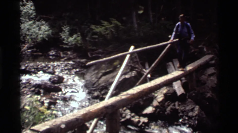 Adult hiker stands near the far end of the rough log crossing, with bright water, rocks, and dark forest behind.