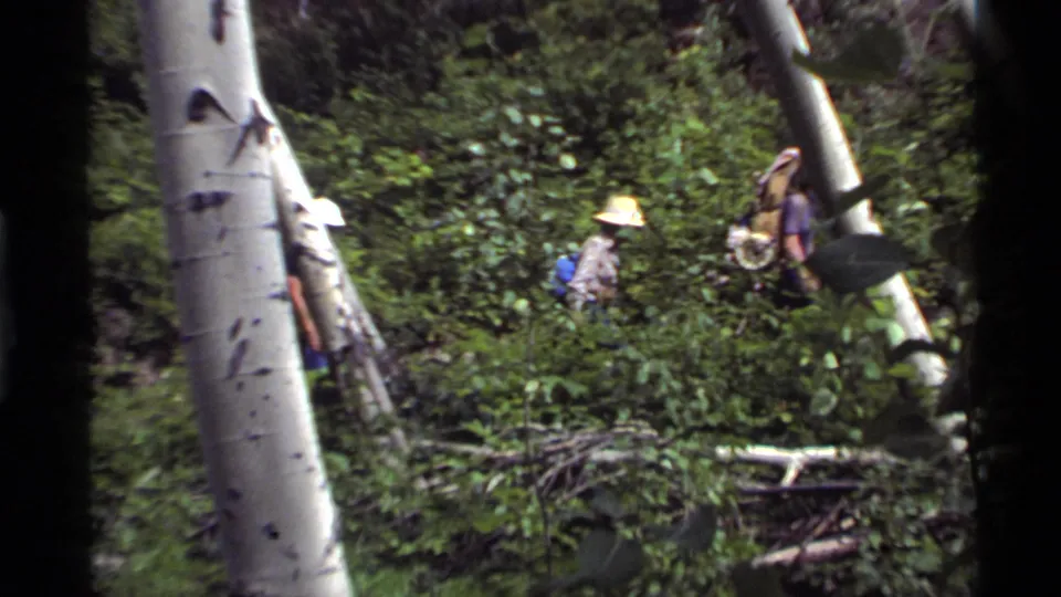 1972 Holland Lake, Montana 8mm frame showing backpackers moving through leafy undergrowth and a grove of pale aspen trees.