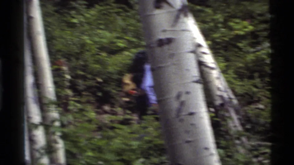1972 Holland Lake, Montana frame with a backpacker partly obscured by aspen trunks and motion blur in thick forest vegetation.