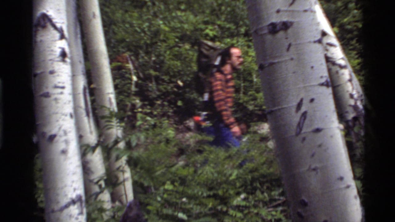 Hiker with backpack walking through dense aspen forest, partly framed by tree trunks.
