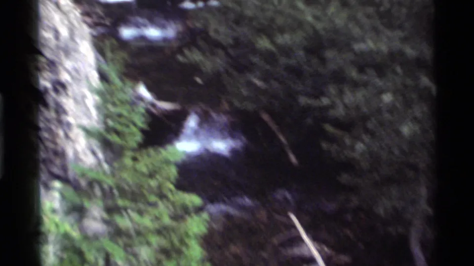 Soft handheld 8mm view of rushing water in a shaded forest stream at Holland Lake, Montana, from the 1972 clip.
