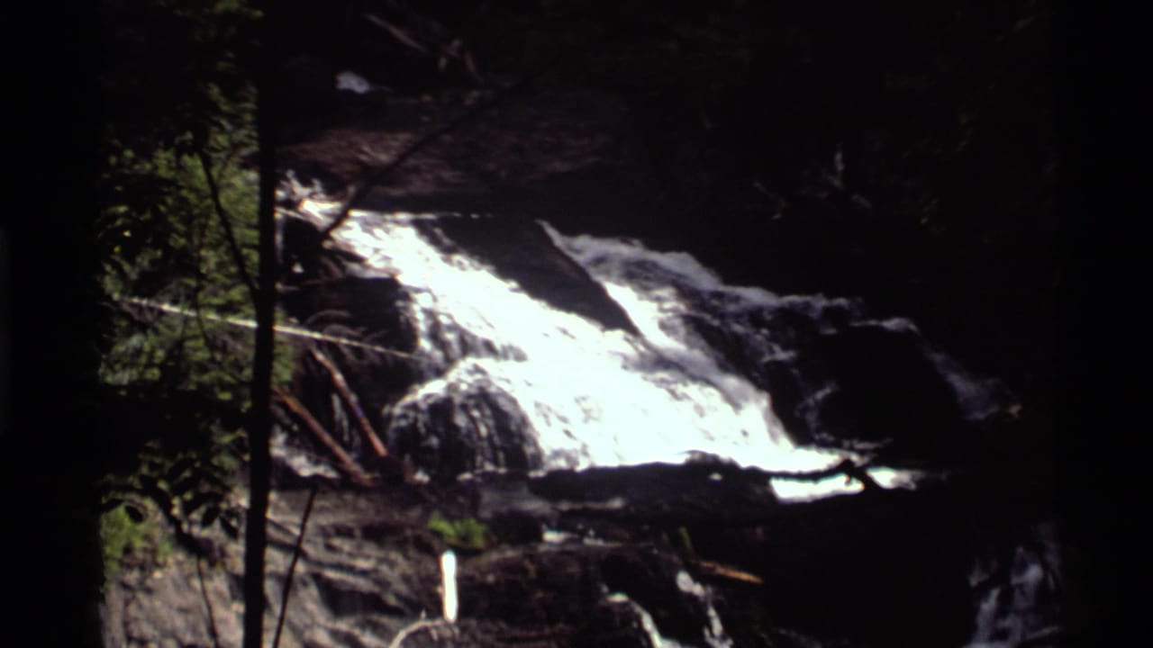 Bright waterfall crosses rock ledges beside trees and branches.