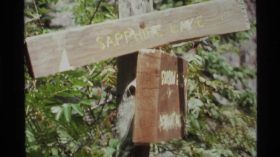 Wooden sign reading Sapphire Lake appears beside foliage in the 1972 Montana home-movie footage.