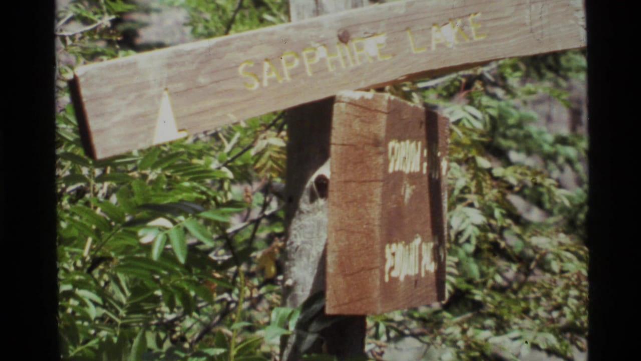 1972 8mm frame near Holland Lake, Montana, showing a weathered Sapphire Lake trail sign surrounded by dense greenery.