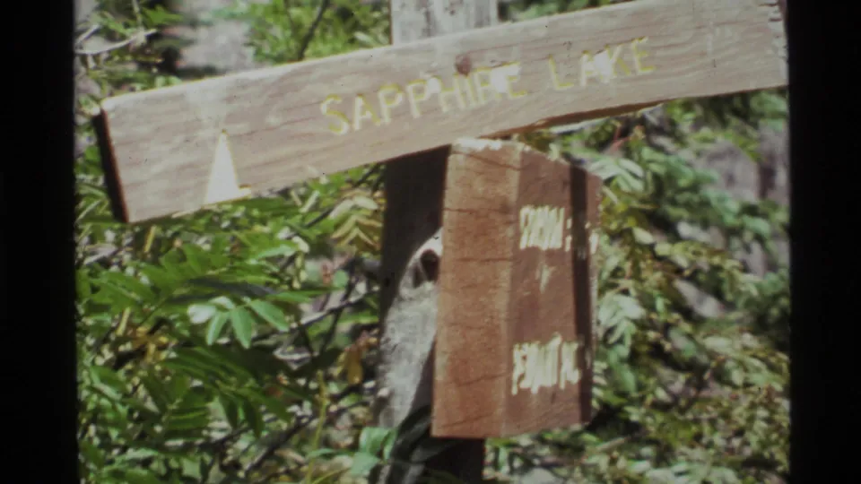 1972 8mm frame showing trail signage for Sapphire Lake in wooded foliage near Holland Lake, Montana.