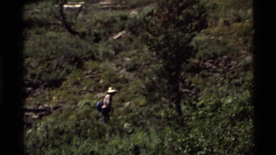 A lone hiker moves across a forested Montana hillside in this 1972 home-movie frame from the Holland Lake area.