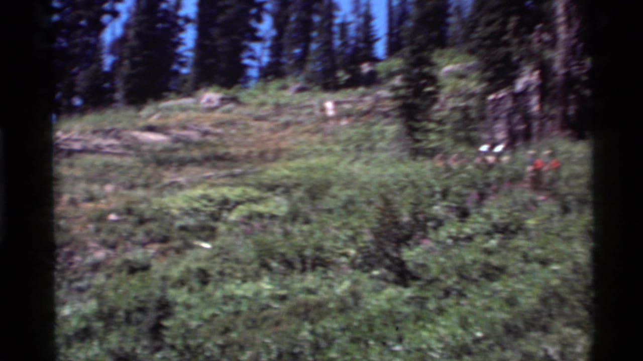 1972 8mm frame from Holland Lake, Montana showing a forested hillside, meadow grass, and distant hikers moving through the landscape.