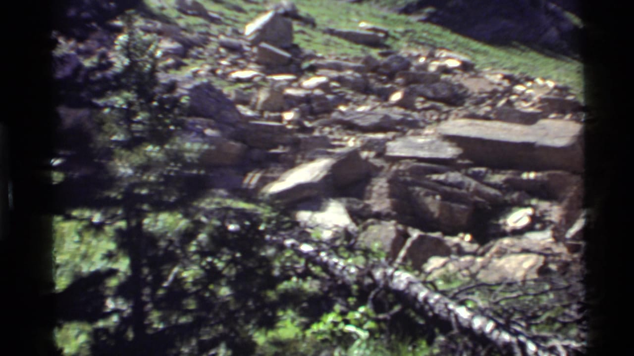 Rocky hillside with grass, evergreen branches, debris, and a central dark film edge.