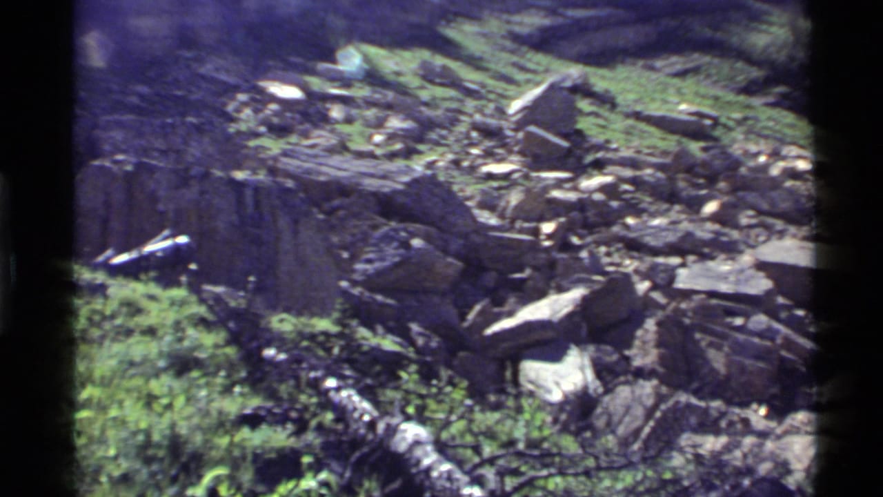 1972 8mm view of a rocky grassy hillside at Holland Lake, Montana, with boulders, tree trunks, and a fallen log.