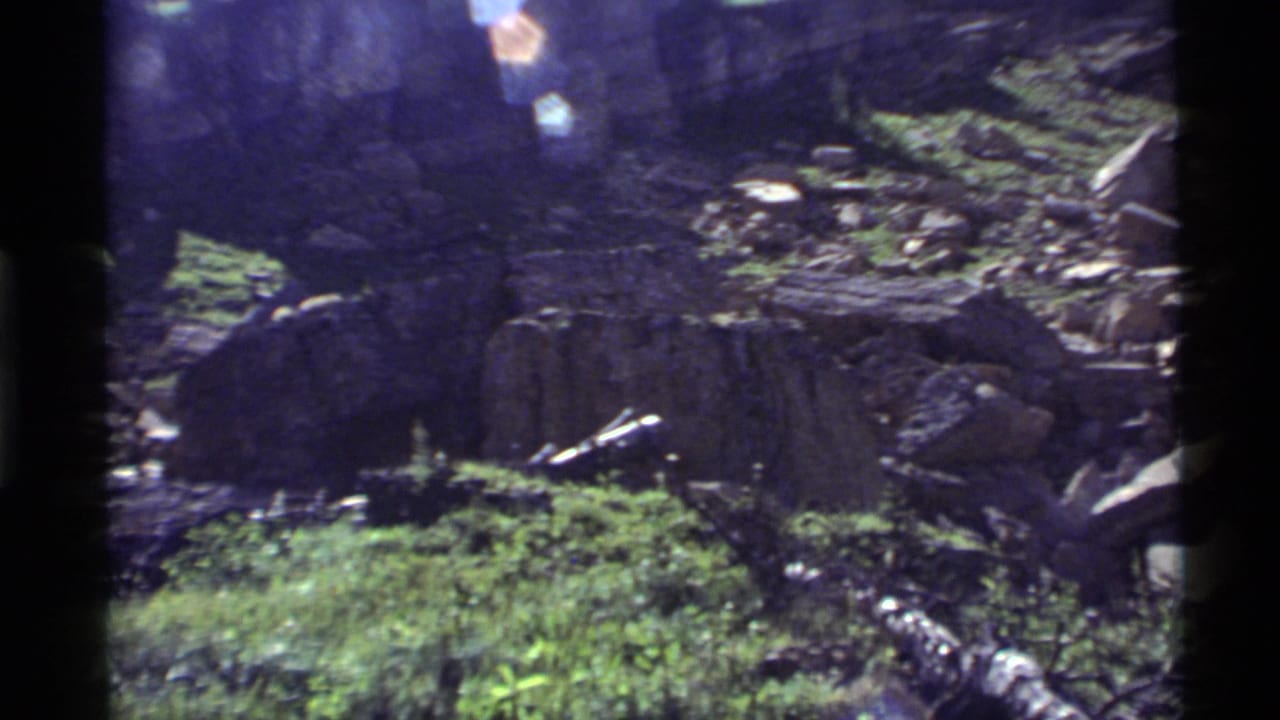 Rocky slope with grass, dark vertical trunks, scattered stones, and bright flare near the top.