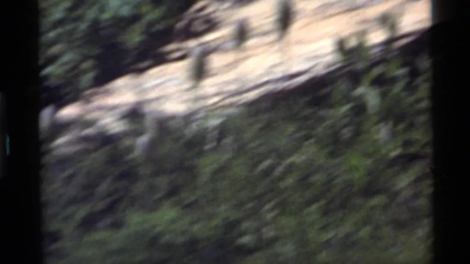 Small bird beside rocks and foliage in a soft 1972 8mm view from Holland Lake, Montana.