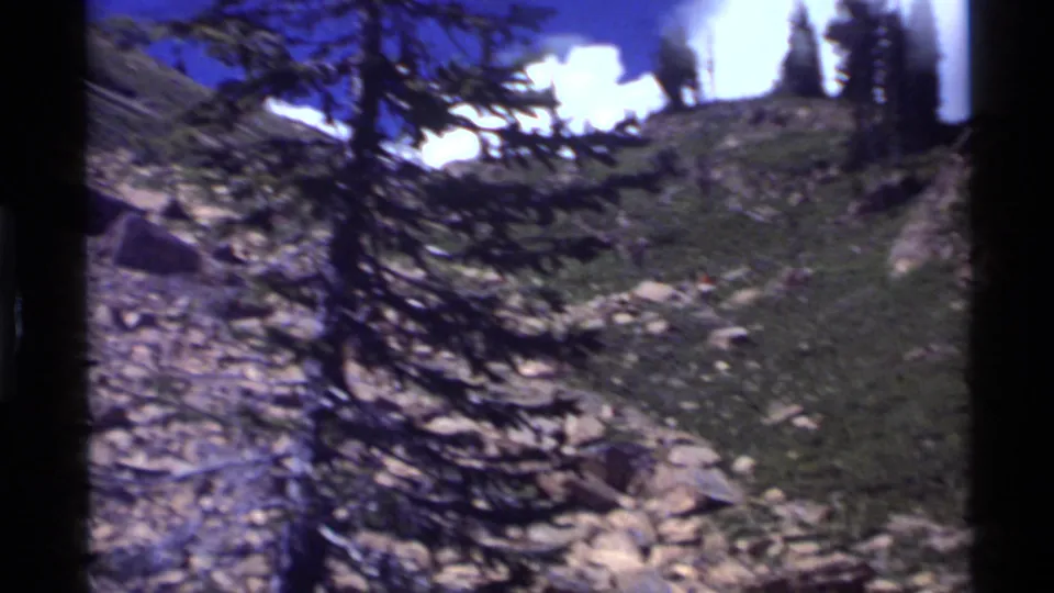 Handheld 8mm frame near Holland Lake showing rocks, grass, pine branches, and bright mountain sky on a sloping trail area.