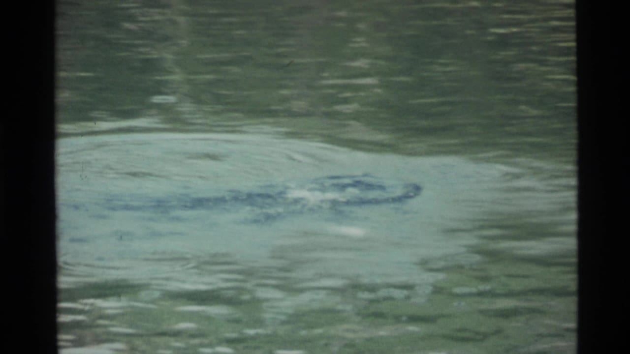 Lake surface with a small broken-water disturbance near the upper center.
