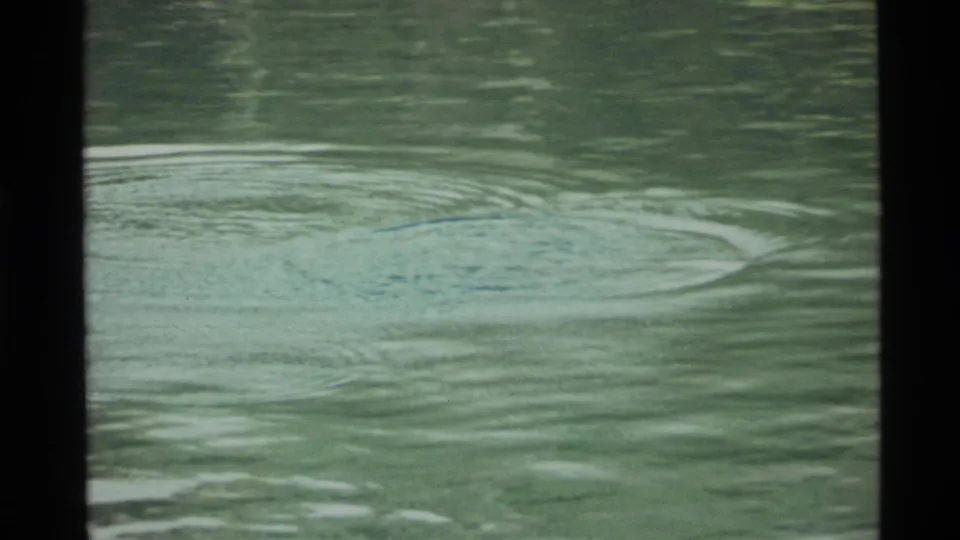 Concentric ripples spread across Holland Lake in a 1972 home-movie fishing scene.