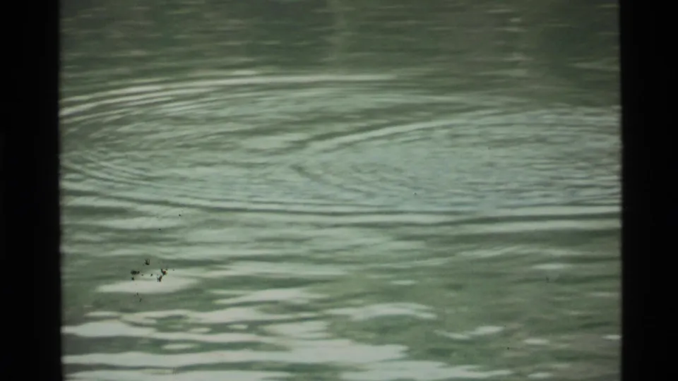 Holland Lake water in 1972 home-movie footage, with soft green ripples and dark film-frame edges.