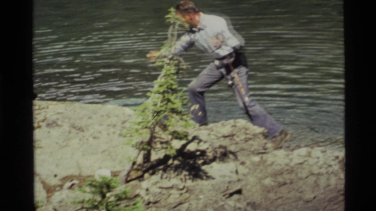 Fisherman steps across rocky lakeshore beside a small evergreen sapling.