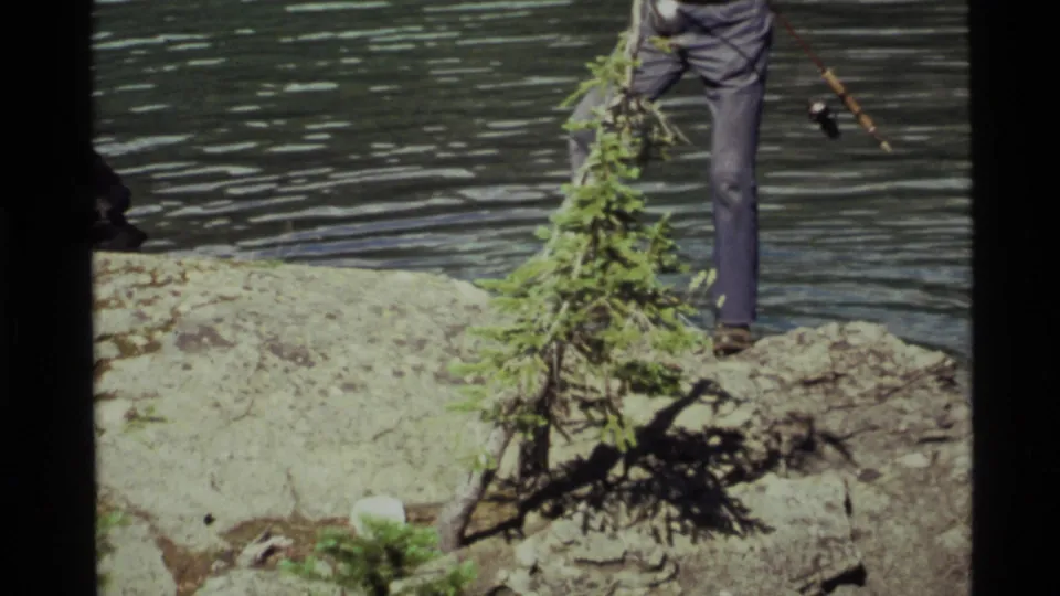 The fisherman moves partly out of frame as his legs and fishing gear pass behind the lakeside sapling.