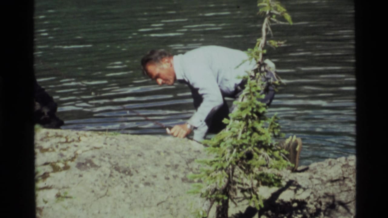 Man crouches on a rocky lakeshore beside rippled water and an evergreen sapling.