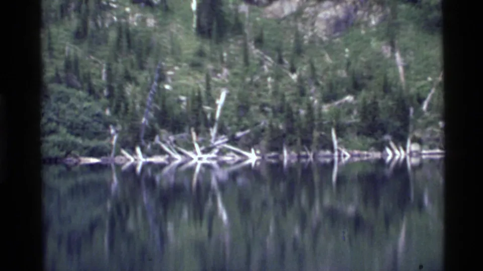 A soft, grainy 1972 8mm view across Holland Lake toward dense trees and pale driftwood along the opposite shore.