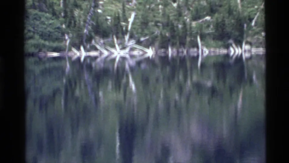 Holland Lake appears still and reflective, with evergreen shoreline, submerged or fallen logs, and a dark 8mm frame edge visible.