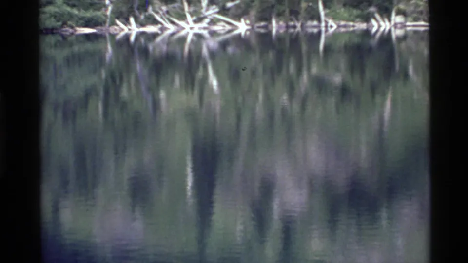 1972 Holland Lake frame with evergreen shore, pale fallen timber, and soft green-blue reflections on still water.