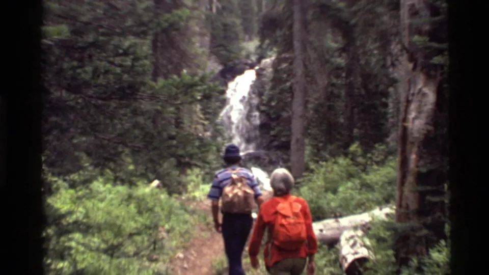 The hikers move farther down the Holland Lake forest trail, with the waterfall framed through trees and brush ahead.