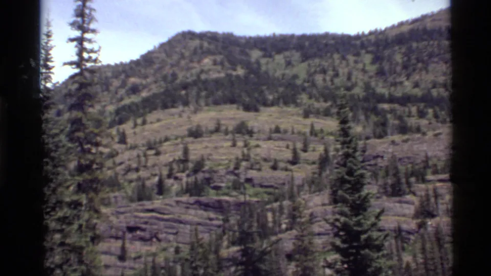 1972 8mm Holland Lake landscape frame with a wooded hillside, scattered conifers, rocky ground, and a tall tree near the foreground.