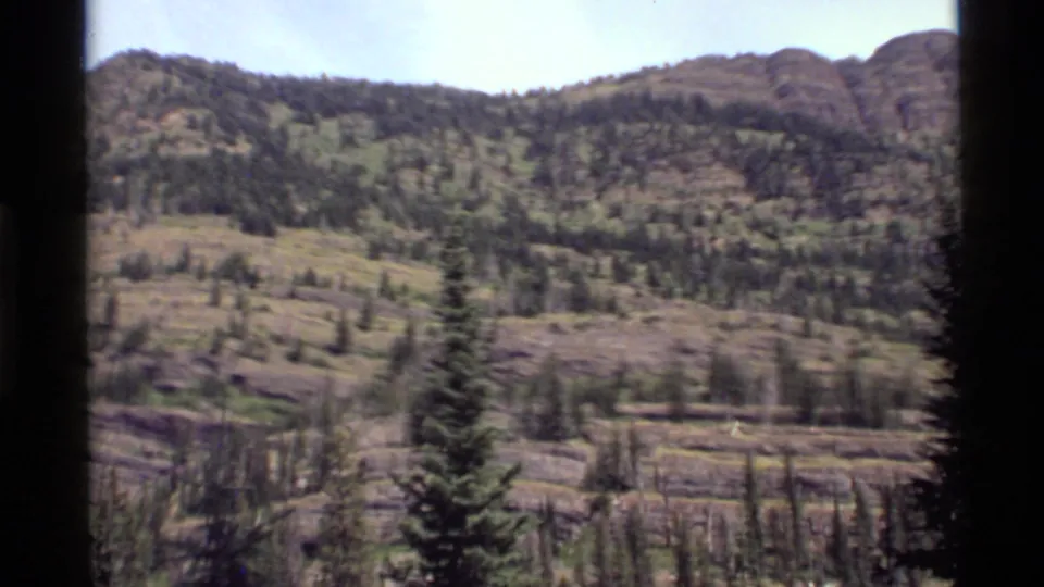 1972 Holland Lake, Montana frame with a forested rocky slope, scattered green patches, and a tall evergreen in front.