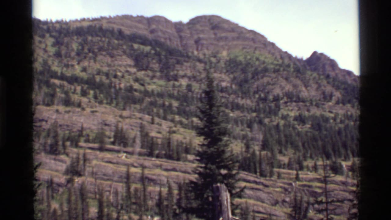 1972 Holland Lake, Montana home-movie frame showing a wooded mountain slope under bright daylight.