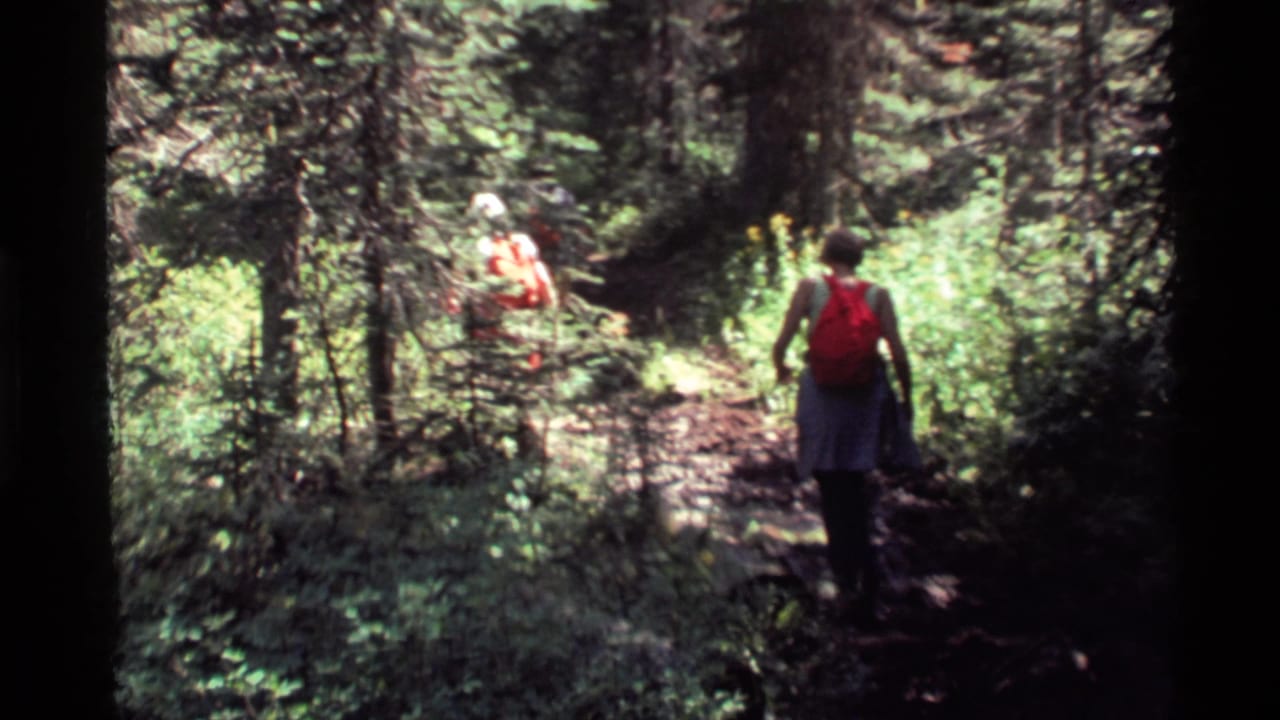 1972 Holland Lake, Montana home-movie frame of hikers walking away through pine woods on a narrow sunlit trail.