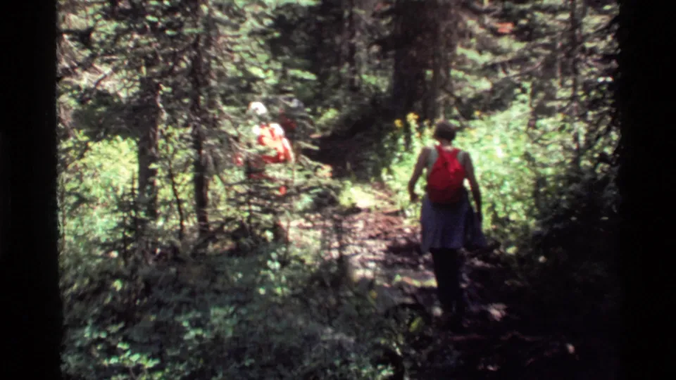 1972 Holland Lake, Montana home-movie frame of hikers walking away through pine woods on a narrow sunlit trail.