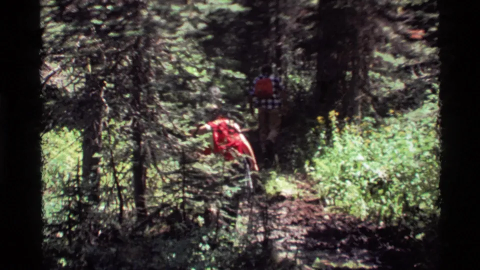 1972 Montana forest trail frame showing hikers partly hidden by pine branches and bright undergrowth.