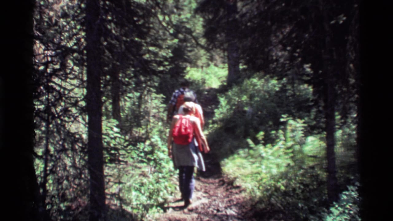 Hikers continue away down a narrow trail through sunlit forest.