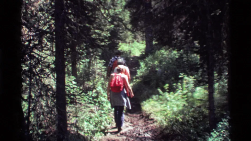 The hikers continue along the wooded Holland Lake trail, partly framed by dark tree trunks and bright green undergrowth.