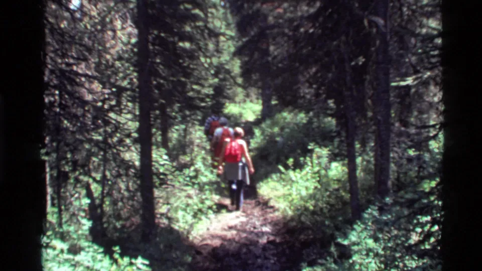 Two of the hikers appear farther ahead on the narrow Montana forest trail, surrounded by conifers and bright undergrowth.