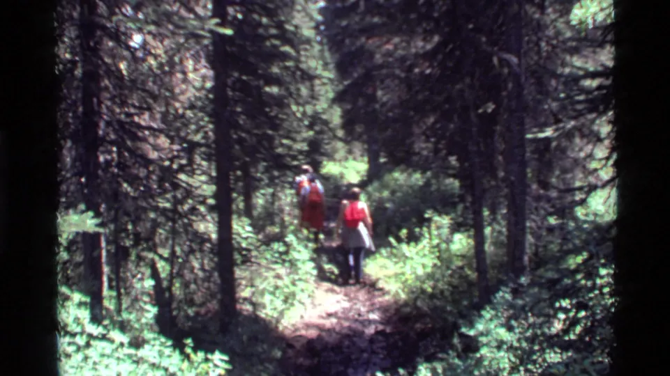 Two hikers with red packs walk away along the Holland Lake forest trail, framed by shadowed trees and sunlit vegetation.