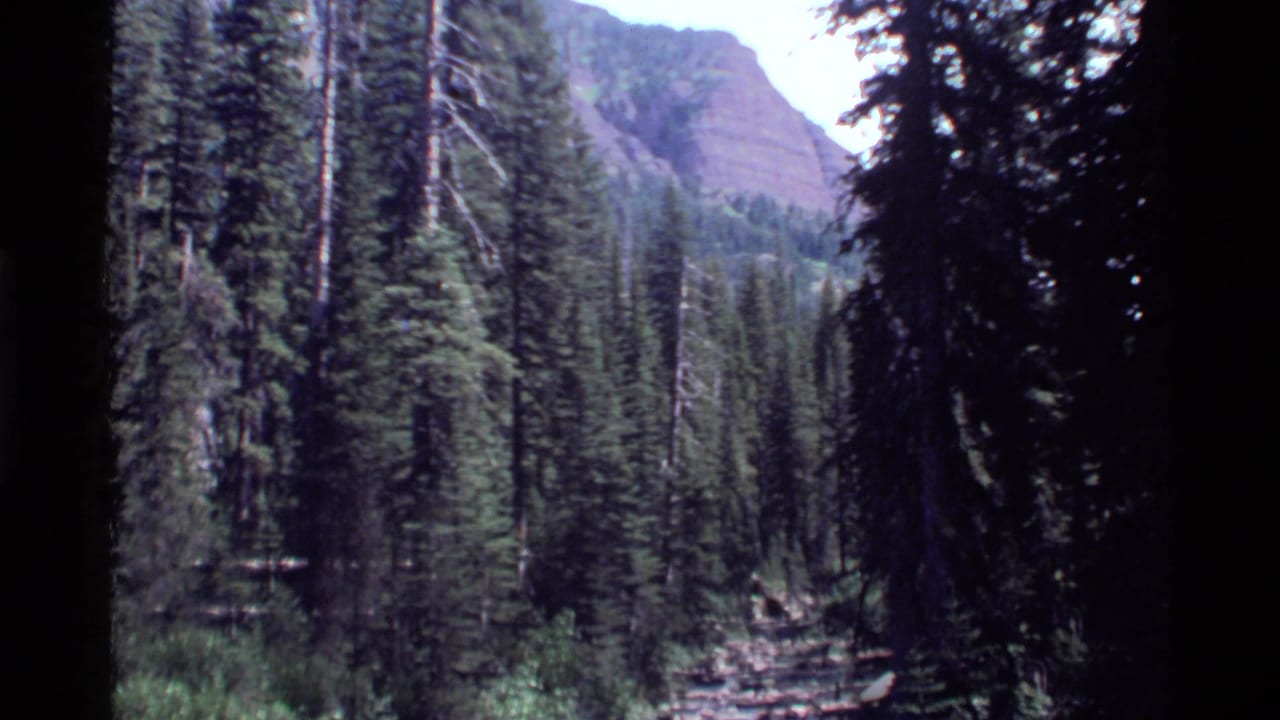 1972 Holland Lake, Montana home-movie frame showing dense conifers, a mountain slope, and dark 8mm frame edges.
