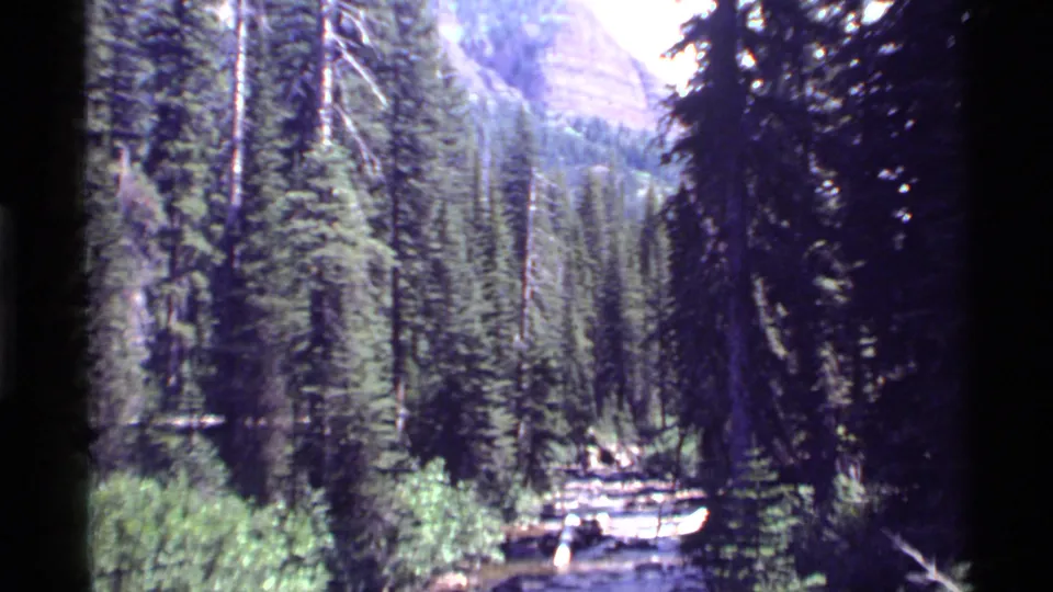 Holland Lake area landscape with conifer forest, rocky mountain backdrop, and a bright stream visible through the trees.