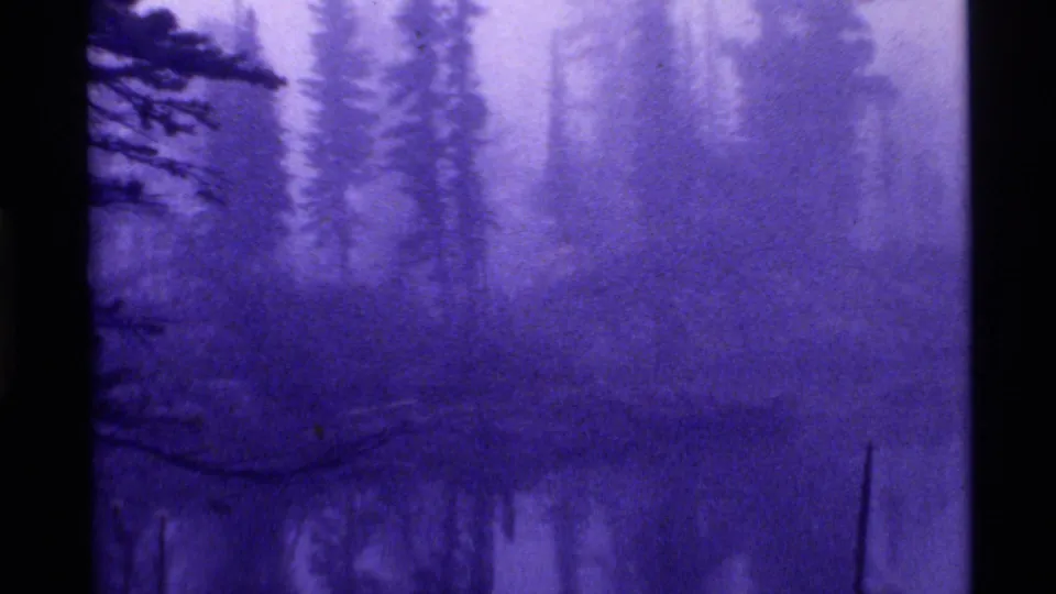 Final 1972 Holland Lake, Montana frame showing heavy mist over evergreen silhouettes and dark wetland reflections.