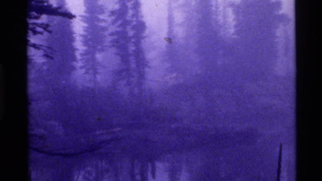 1972 8mm footage at Holland Lake, Montana, showing foggy water and soft evergreen silhouettes under a strong purple-blue cast.