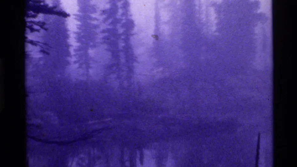 1972 8mm footage at Holland Lake, Montana, showing foggy water and soft evergreen silhouettes under a strong purple-blue cast.