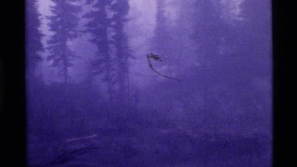 Fog-shrouded Holland Lake wetland scene with blurred conifers, dark water, and visible 8mm film softness and color shift.