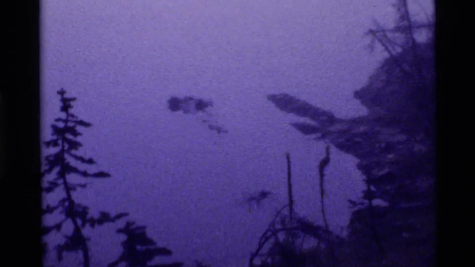 Foggy Holland Lake shoreline in 1972 8mm footage, showing silhouetted conifers, brush, and a dark, indistinct wetland edge.
