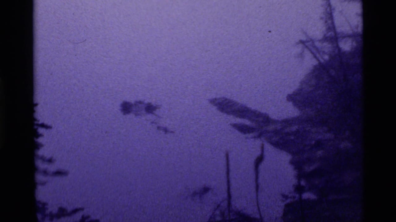Purple-tinted lake surface with a small dark floating shape and silhouetted trees at the right edge.