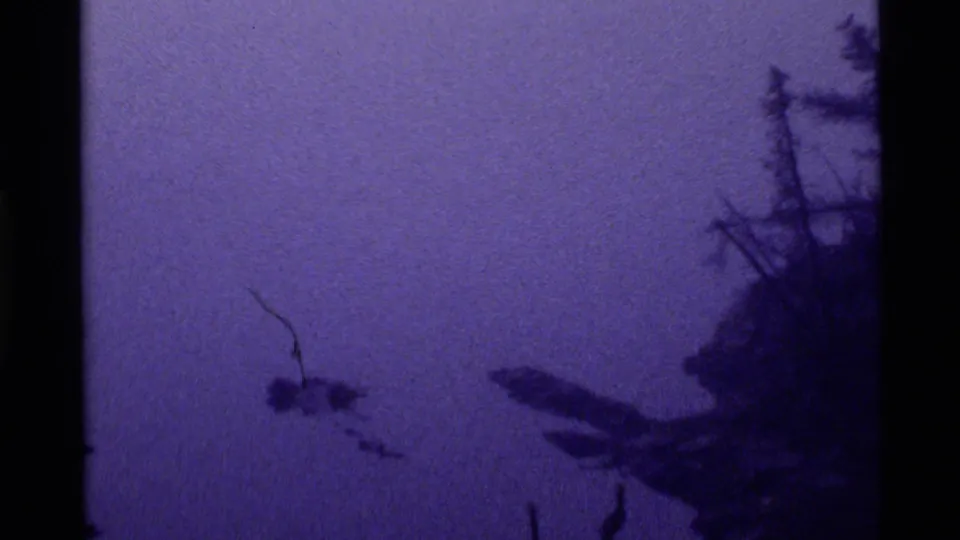 1972 Holland Lake frame showing quiet purple-tinted water, a small dark floating object, and dense silhouetted evergreen branches at right.