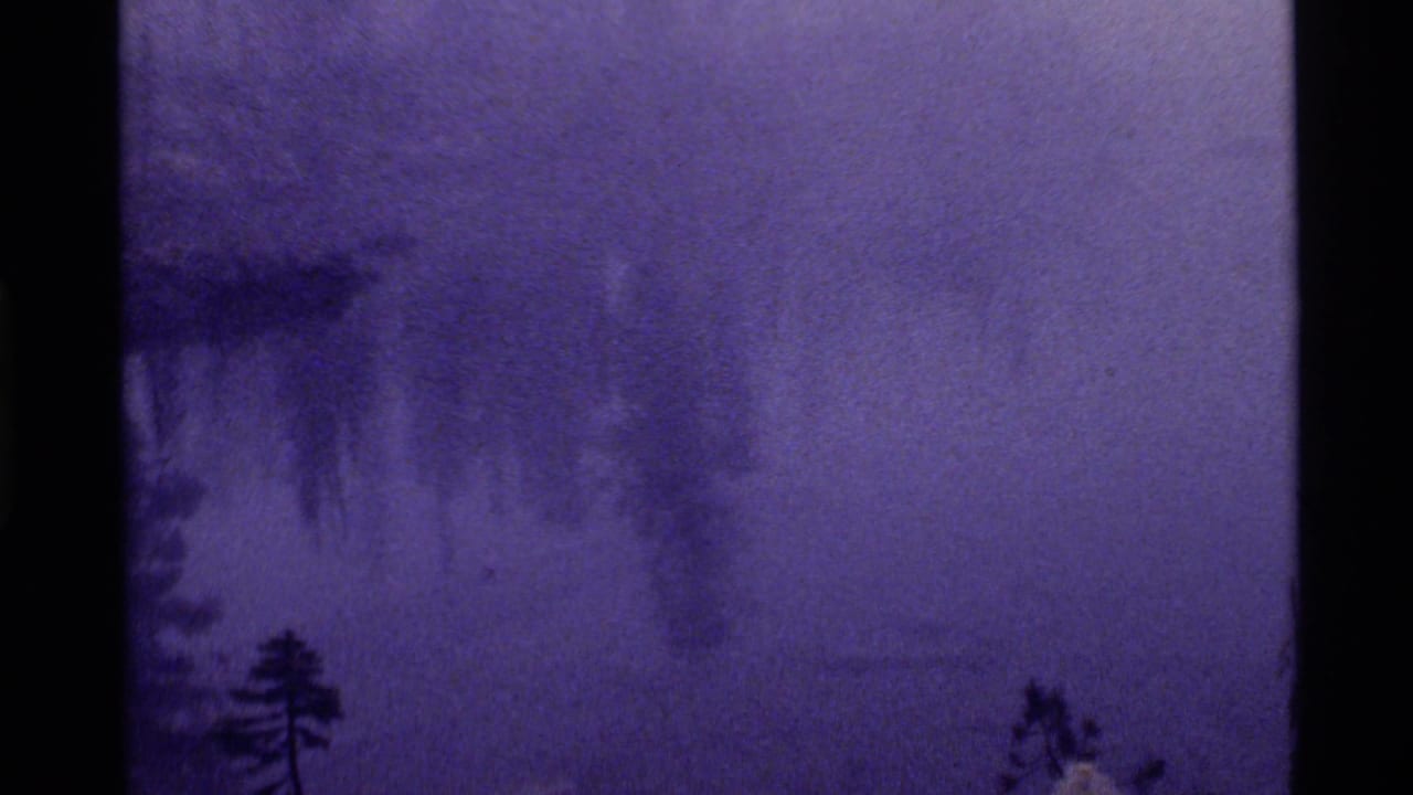 1972 8mm view of Holland Lake, Montana, with fog over water and evergreen silhouettes under a purple color cast.