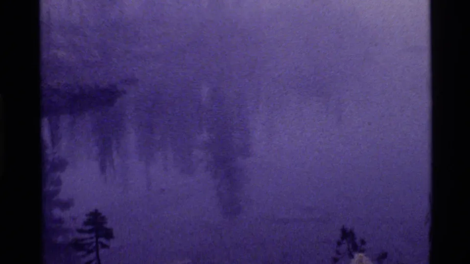1972 8mm view of Holland Lake, Montana, with fog over water and evergreen silhouettes under a purple color cast.