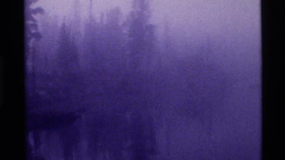 Final 8mm frame from Holland Lake, Montana, with heavy fog, a dark evergreen edge, and little visible horizon detail.