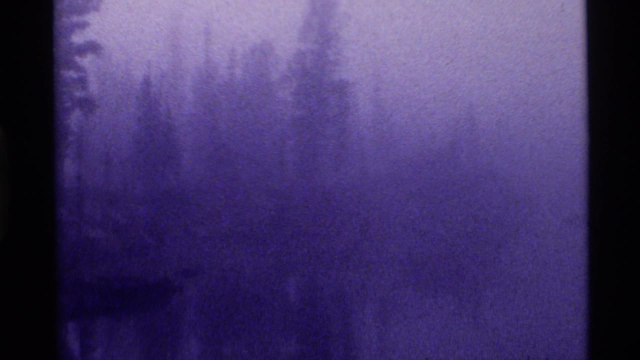 Misty forest silhouettes appear through dense purple-blue haze in 1972 8mm footage identified as Holland Lake, Montana.